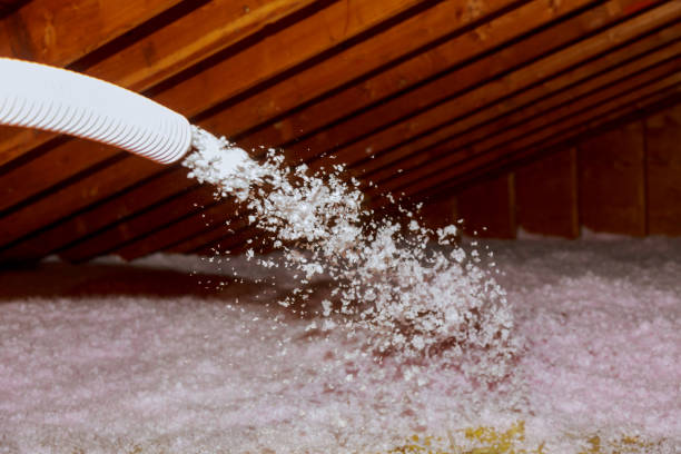 Best Insulation Removal Services  in Sundown, TX