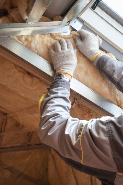 Best Blown-in Insulation  in Sundown, TX